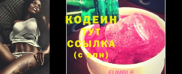 spice Каменка