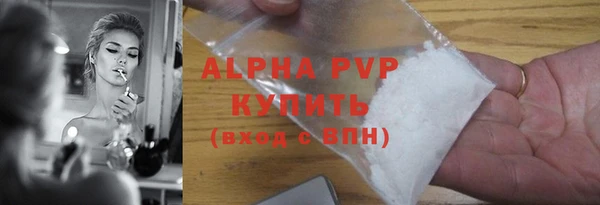 spice Каменка