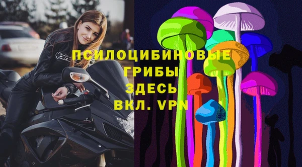 spice Каменка