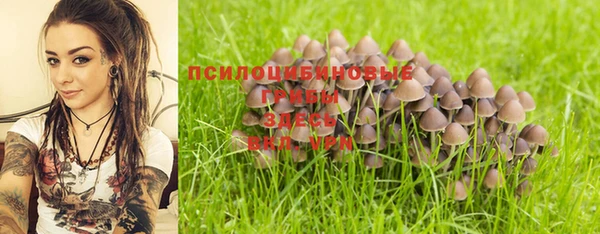 spice Каменка