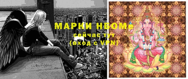 прущие крисы Каменногорск