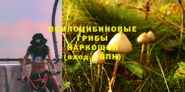 прущие крисы Каменногорск