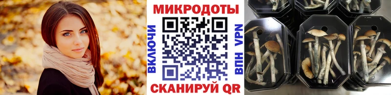 Псилоцибиновые грибы Cubensis  Купить  Котово 